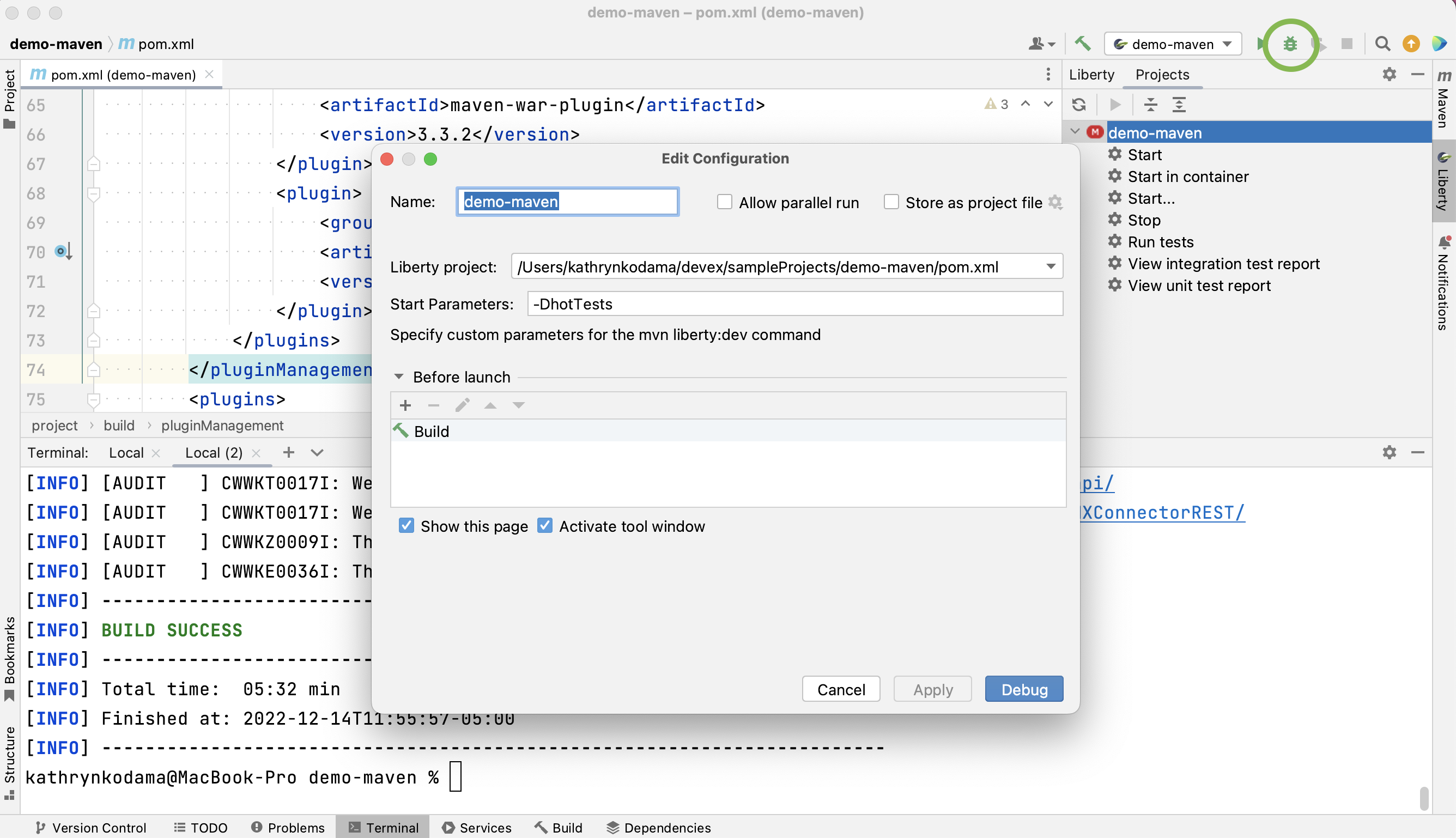 Debug dev mode with run configuration.