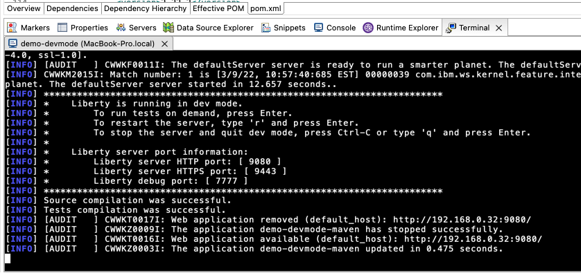 Starting Liberty dev mode through the Eclipse IDE terminal